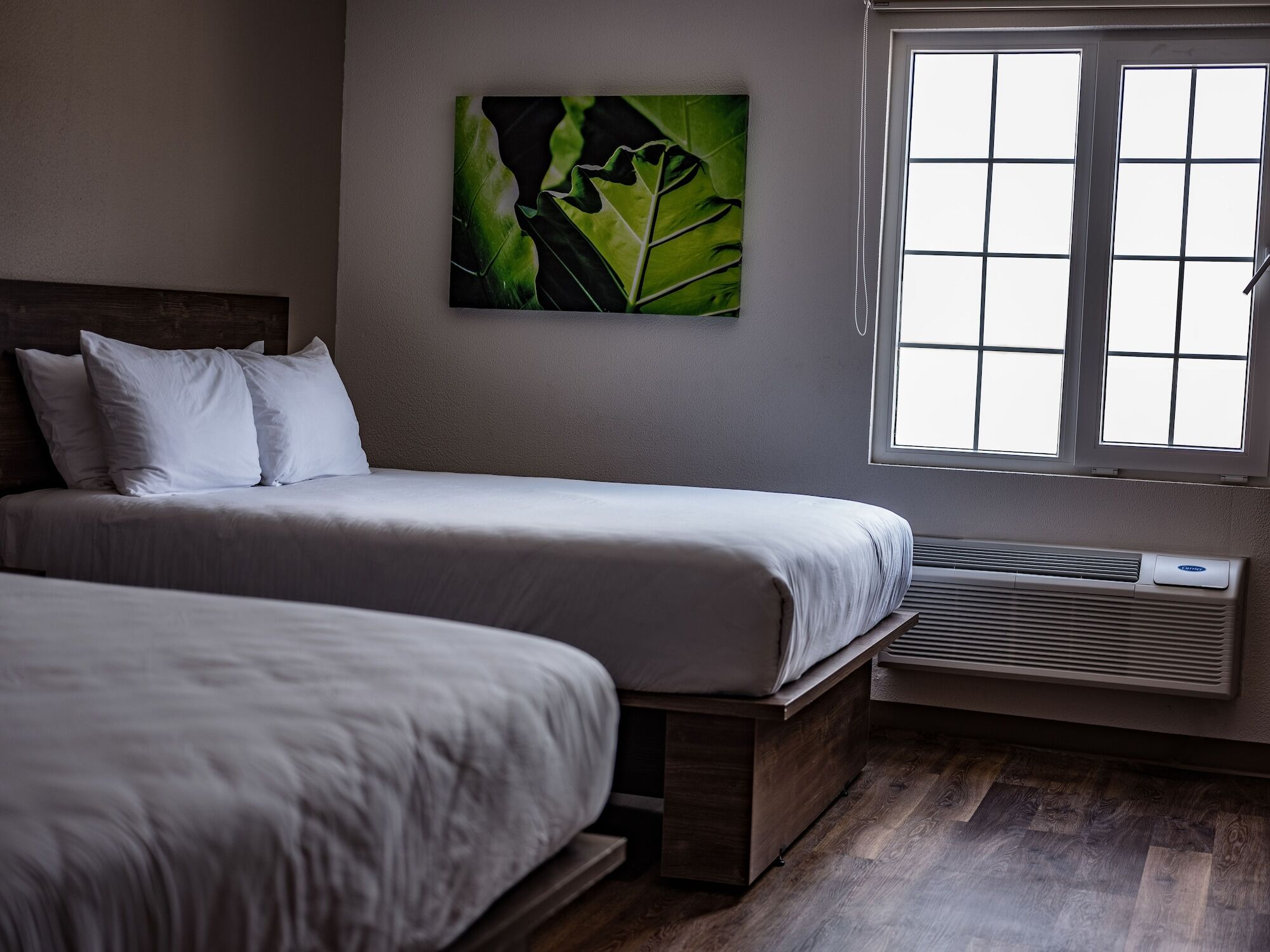 Extended Suites Saltillo Galerias Ngoại thất bức ảnh